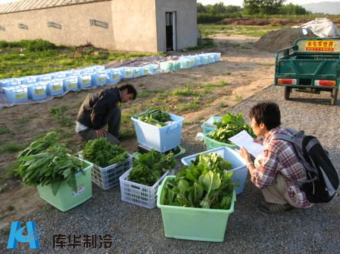 蔬菜保鮮冷庫